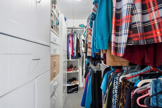 7306 NW 95th Way, Tamarac, FL 33321 - spacious closet featuring carpet floors
