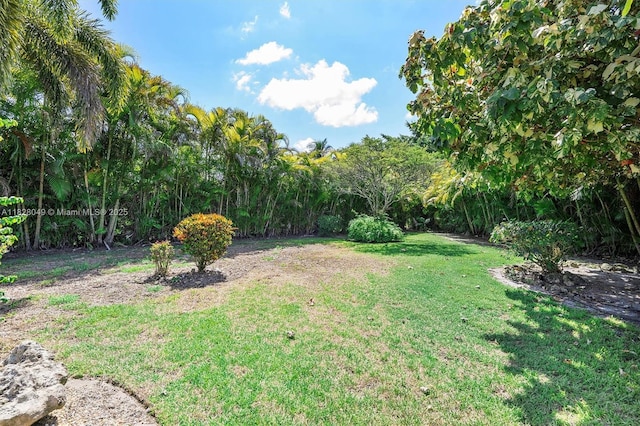 7306 NW 95th Way, Tamarac, FL 33321 - view of grassy yard