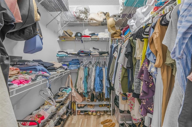 2620 SW 150th Ct, Miami, FL 33185 - spacious closet with wood finished floors