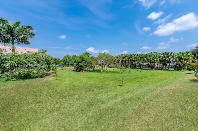 12851 Luray Rd, Southwest Ranches, FL 33330 - view of grassy yard