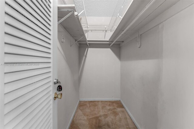 9159 SW 77th Ave Unit 314, Miami, FL 33156 - spacious closet with carpet