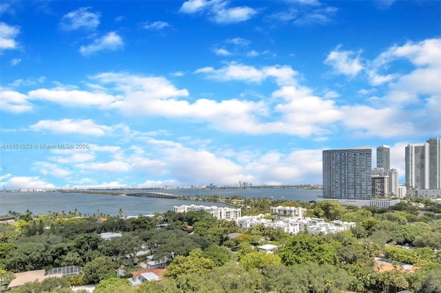 4250 Biscayne Blvd Unit 1217, Miami, FL 33137 - water view with a notable bridge and city skyline