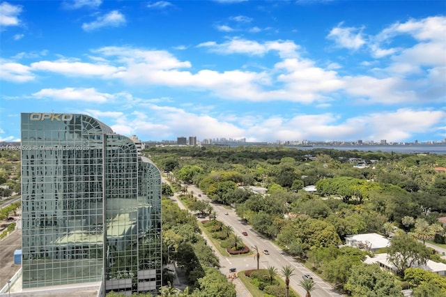 4250 Biscayne Blvd Unit 1217, Miami, FL 33137 - view of urban area