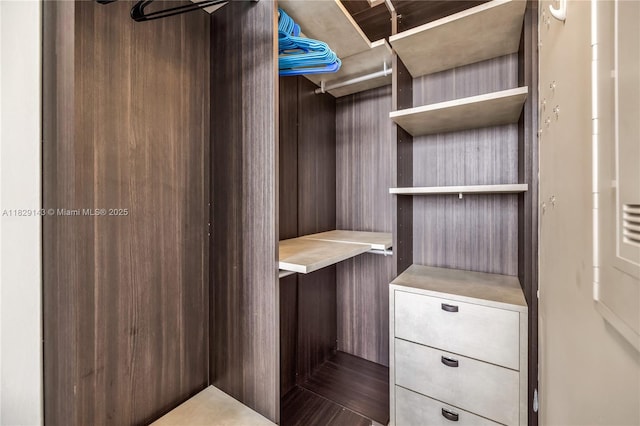 121 NE 34th St Unit 1514, Miami, FL 33137 - view of spacious closet