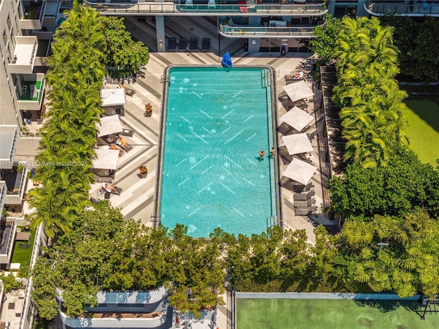 121 NE 34th St Unit 1514, Miami, FL 33137 - drone / aerial view of a pool