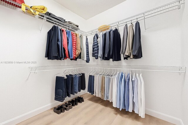 4268 SW 141st Ave, Davie, FL 33330 - walk in closet with wood finished floors