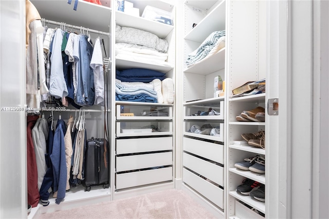 10555 NW 64th Way, Doral, FL 33178 - view of spacious closet