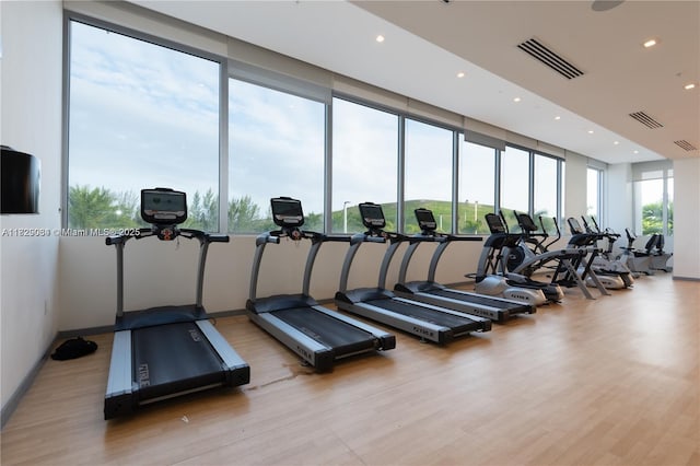 10555 NW 64th Way, Doral, FL 33178 - workout area featuring light wood-type flooring and recessed lighting