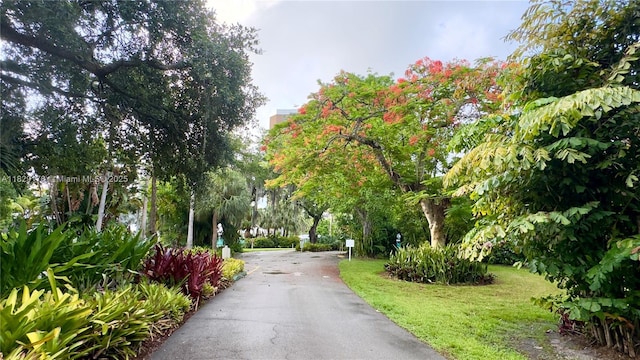 770 NE 69th St Unit 2E, Miami, FL 33138 - photo 1