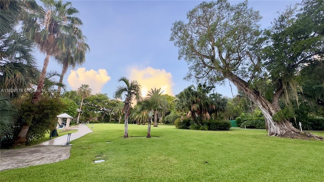 770 NE 69th St Unit 2E, Miami, FL 33138 - photo 31