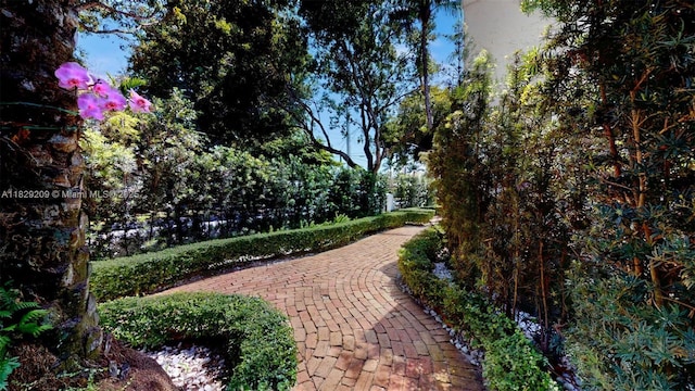 1222 Cortez St, Coral Gables, FL 33134 - view of property's community