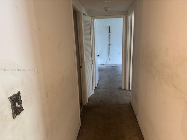 2500 Parkview Dr Unit 312, Hallandale Beach, FL 33009 - photo 20