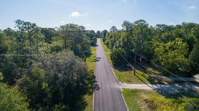 3197 E Squirrel Ct, Inverness, FL 34452 - photo 4