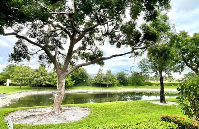 10152 Royal Palm Blvd Unit 502-B, Coral Springs, FL 33065 - photo 47
