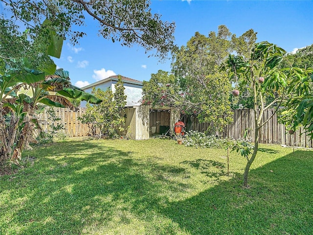 1568 SE 20th Ter, Homestead, FL 33035 - view of fenced backyard