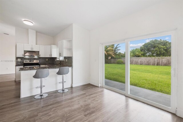 13225 SW 218th Ter, Miami, FL 33170 - kitchen featuring stainless steel range with electric stovetop, under cabinet range hood, open shelves, backsplash, and white cabinetry