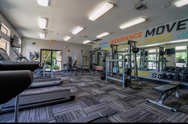 10670 SW 156th Pl Unit 309, Miami, FL 33196 - workout area featuring a textured ceiling and carpet