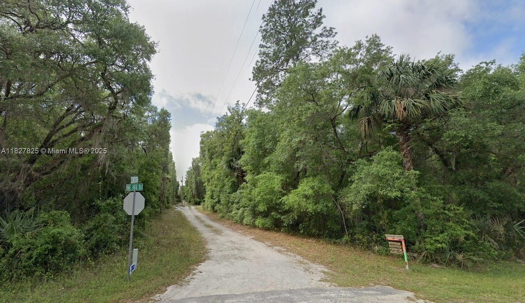 Lot34 Ne 138th Ct, East Marion, FL 32134