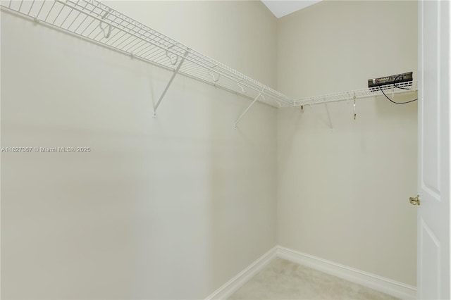 1601 SW 113th Ave, Pembroke Pines, FL 33025 - walk in closet featuring light colored carpet
