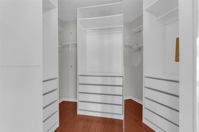 1592 Salerno Cir, Weston, FL 33327 - spacious closet with dark wood finished floors