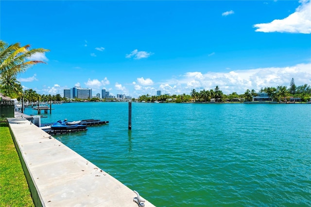 1410 S Biscayne Point Rd, Miami Beach, FL 33141 - water view with a boat dock and city skyline