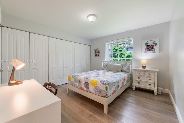6198 SW 63rd St, South Miami, FL 33143 - bedroom with light wood-style flooring and a closet