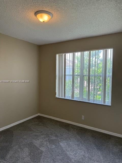 3736 SW 50th St, Hollywood, FL 33312 - carpeted spare room featuring plenty of natural light and a textured ceiling