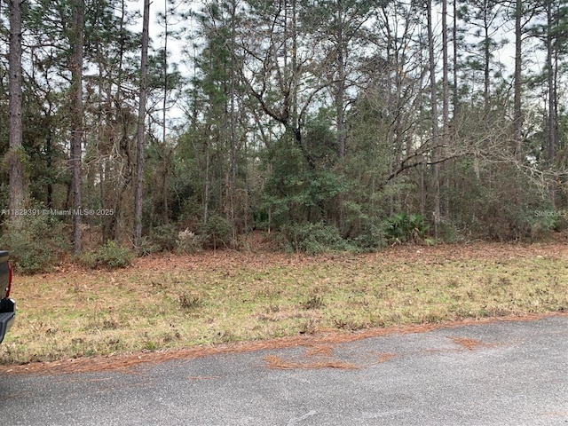 156 St, Ocala, FL 34473 - photo 1