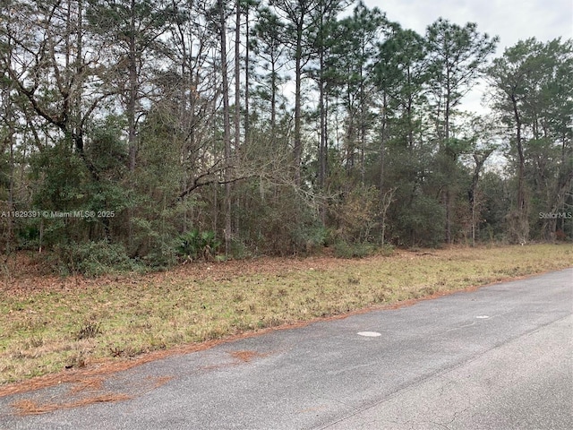 156 St, Ocala, FL 34473 - photo 2