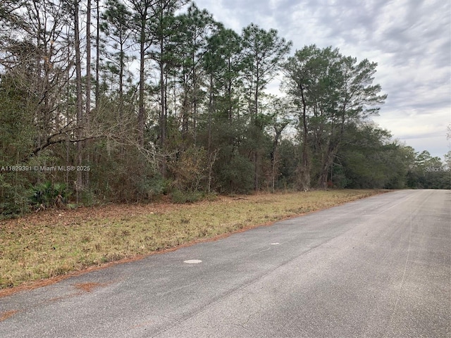 156 St, Ocala, FL 34473 - photo 3
