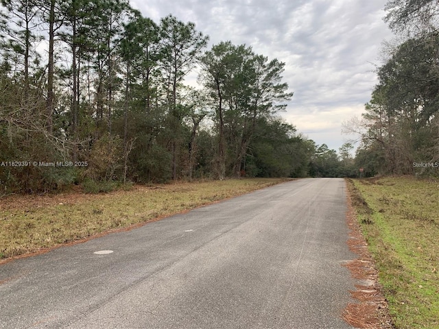 156 St, Ocala, FL 34473 - photo 4