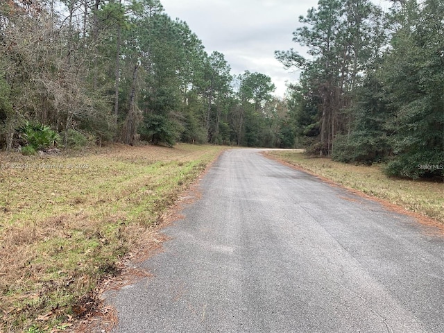 156 St, Ocala, FL 34473 - photo 5