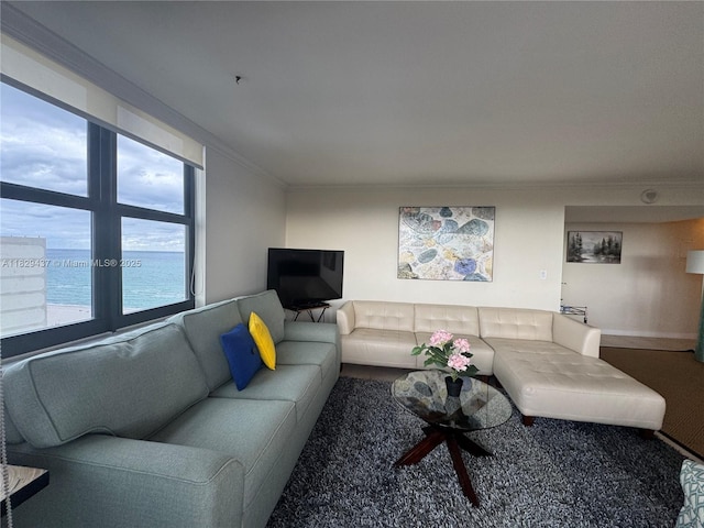 2555 Collins Ave Unit 2002, Miami Beach, FL 33140 - living area featuring ornamental molding and baseboards
