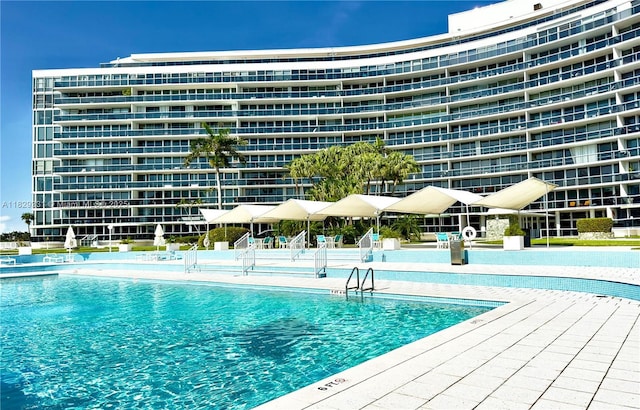 900 Bay Dr Unit 702/704, Miami Beach, FL 33141 - view of community pool