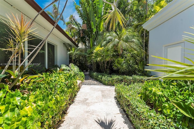 5055 N Bay Rd, Miami Beach, FL 33140 - view of yard