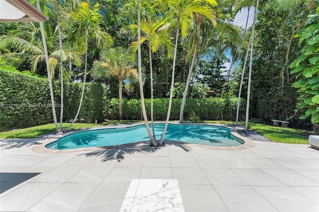 5055 N Bay Rd, Miami Beach, FL 33140 - view of pool featuring a patio
