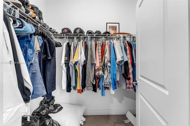 10962 SW 235, Homestead, FL 33032 - spacious closet featuring carpet flooring