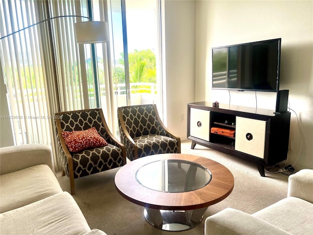 2775 NE 187th St Unit 202, Aventura, FL 33180 - living room with carpet flooring