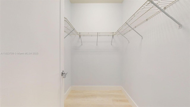 10255 NW 63rd Ter Unit 204, Doral, FL 33178 - walk in closet with light wood-style floors