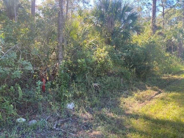 0 Shady Hollow Blvd E, Naples, FL 34120 - photo 5