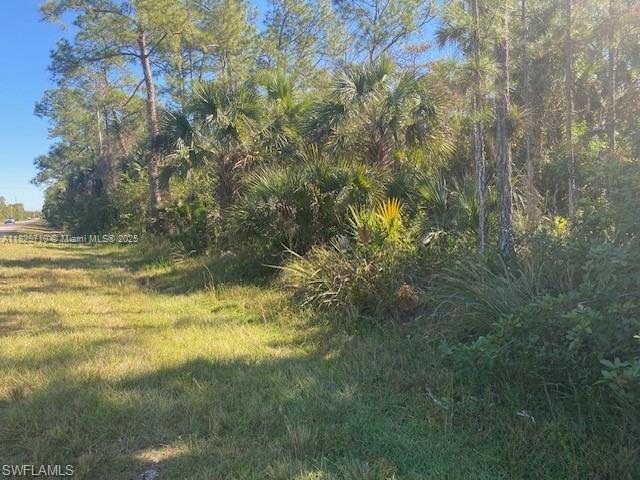 0 Shady Hollow Blvd E, Naples, FL 34120 - photo 6