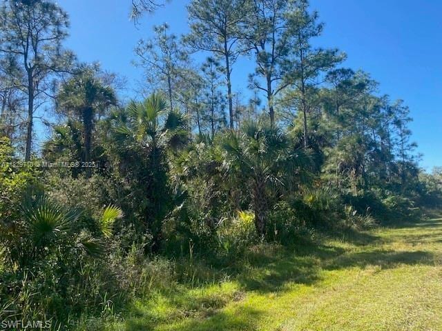 0 Shady Hollow Blvd E, Naples, FL 34120 - photo 7