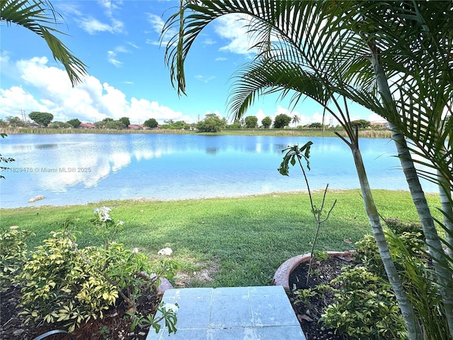 13261 SW 17th Ln, Miami, FL 33175 - water view