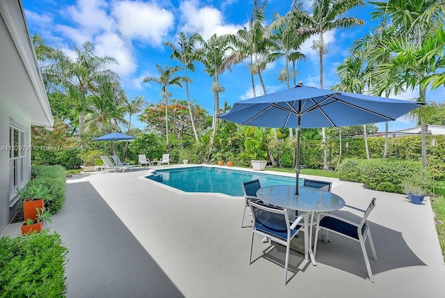 15730 SW 87th Ct, Palmetto Bay, FL 33157 - outdoor pool with a patio area