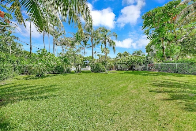 15730 SW 87th Ct, Palmetto Bay, FL 33157 - view of yard