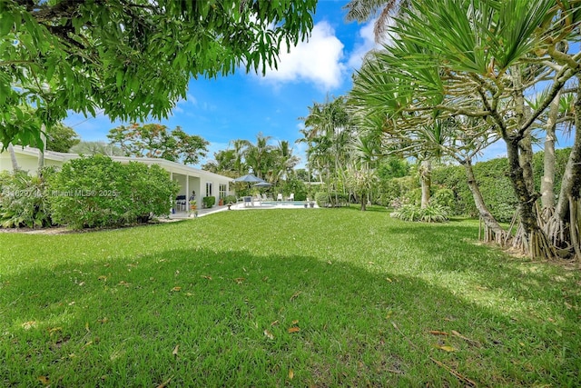 15730 SW 87th Ct, Palmetto Bay, FL 33157 - view of green lawn with a patio area and an outdoor pool