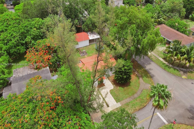 871 NE 122nd St, North Miami, FL 33161 - photo 10