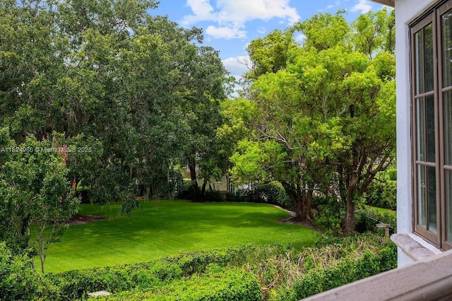 2211 Azalea Pl, Winter Park, FL 32789 - view of green lawn