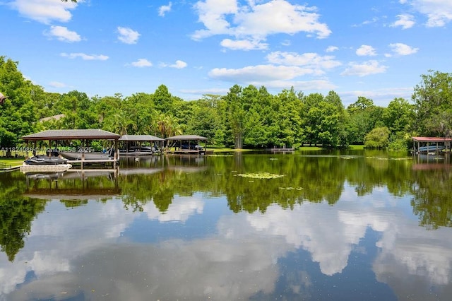 2211 Azalea Pl, Winter Park, FL 32789 - water view with a forest