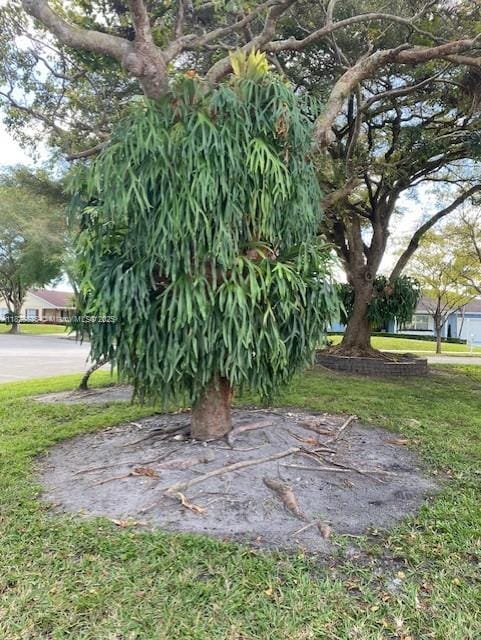 14861 SW 149th St, Miami, FL 33196 - photo 34
